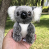 Petite peluche de koala poilu
