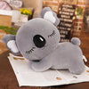 Peluche koala grise oreiller