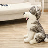 Peluche loup tout mignon