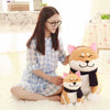 Peluche chien marron trop mignonne