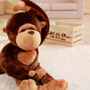 Peluche singe à câlins