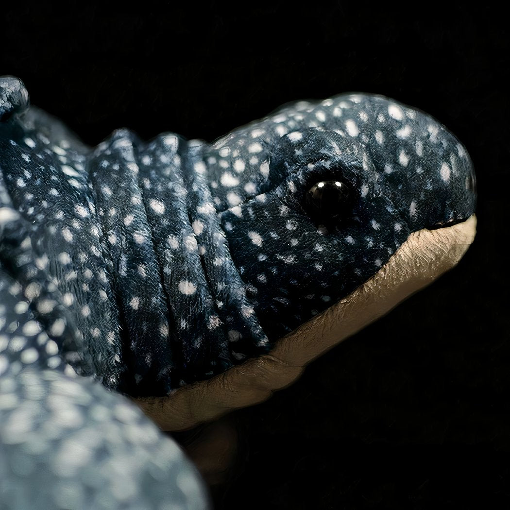 Peluche tortue de mer