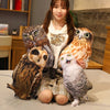 Peluche Hibou marron et blanc trop mignon