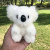 Petite peluche de koala poilu