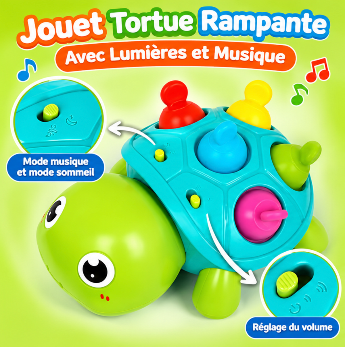 Tortue sensorielle Montessori