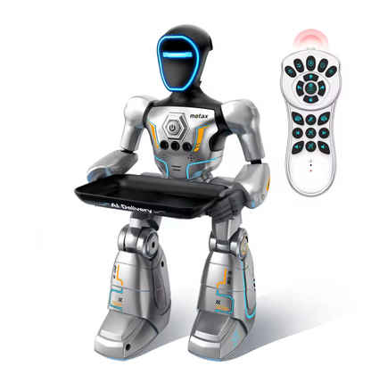 Robot intelligent IA