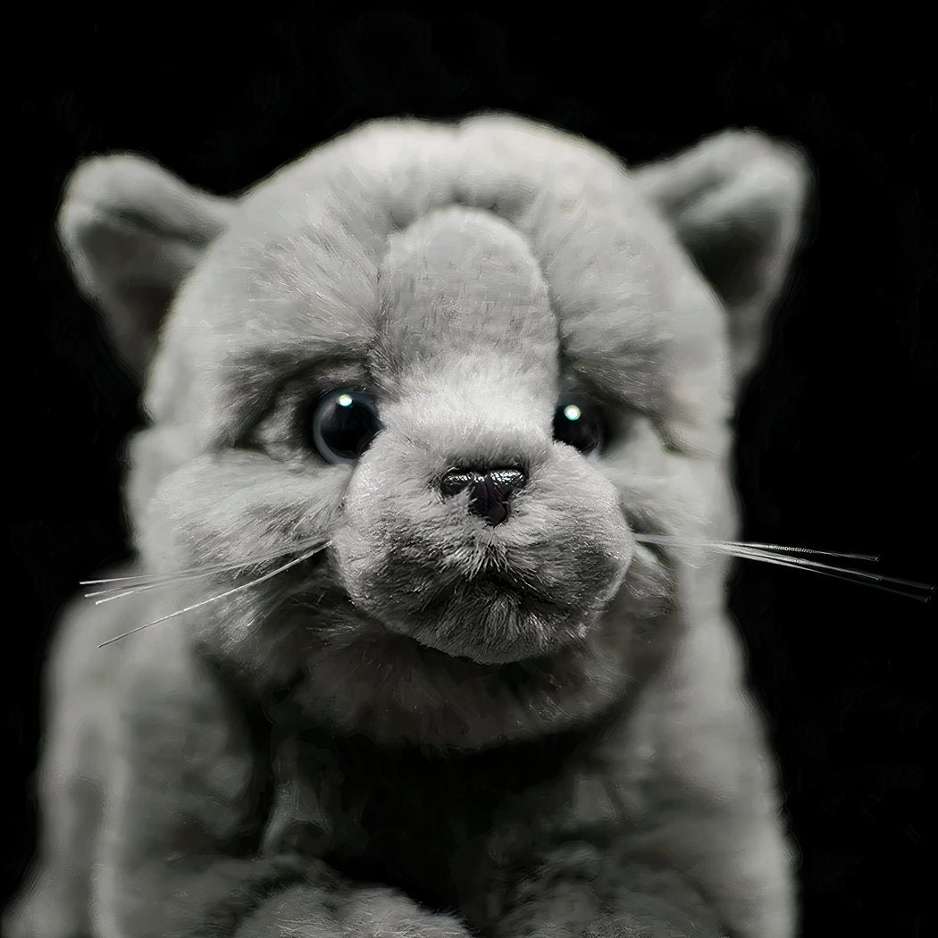 Peluche chat britannique