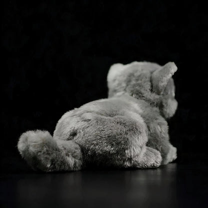 Peluche chat britannique