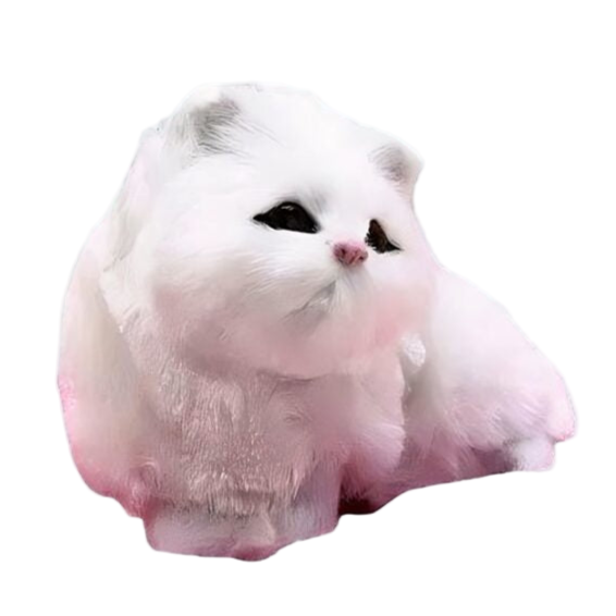 Peluche poupée chat blanc
