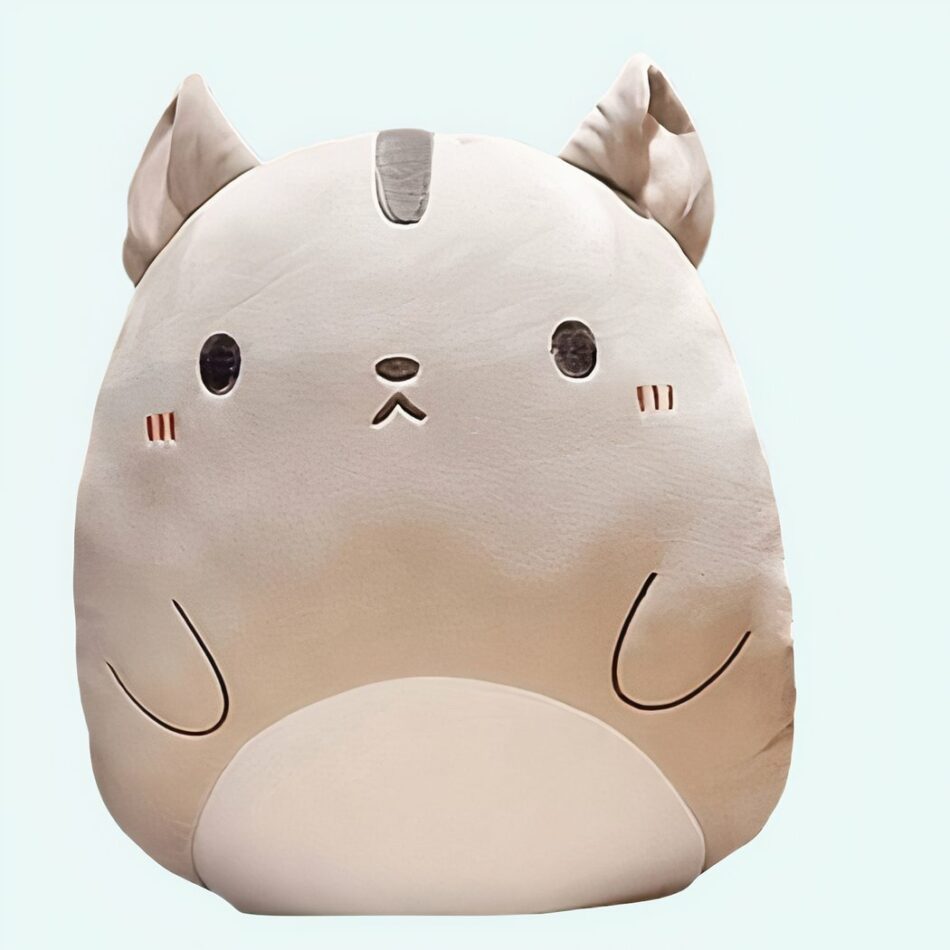 Peluche oreiller chat