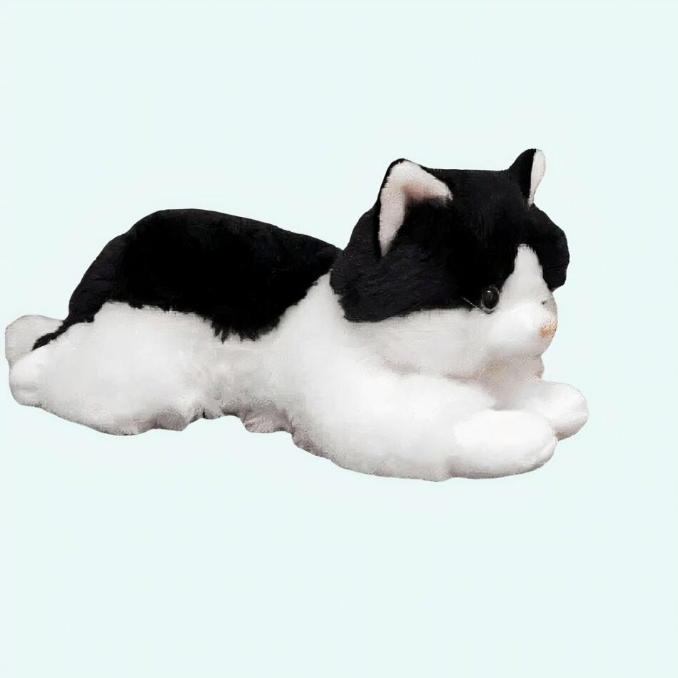 Peluche chaton noir