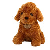 Peluche caniche camel