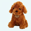 Peluche caniche camel