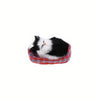 Peluche mini chat endormi