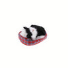 Peluche mini chat endormi