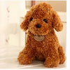 Peluche caniche camel