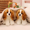 Peluche bébé chien Cavalier King Charles