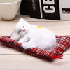 Peluche poupée chat blanc qui dort