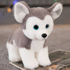 Peluche chien husky gris