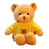 Ours en peluche avec pull