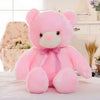Peluche ours oreiller LED rose