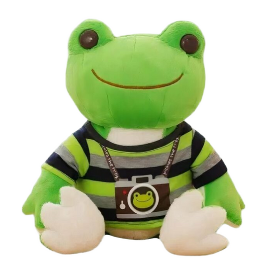 Peluche grenouille photographe
