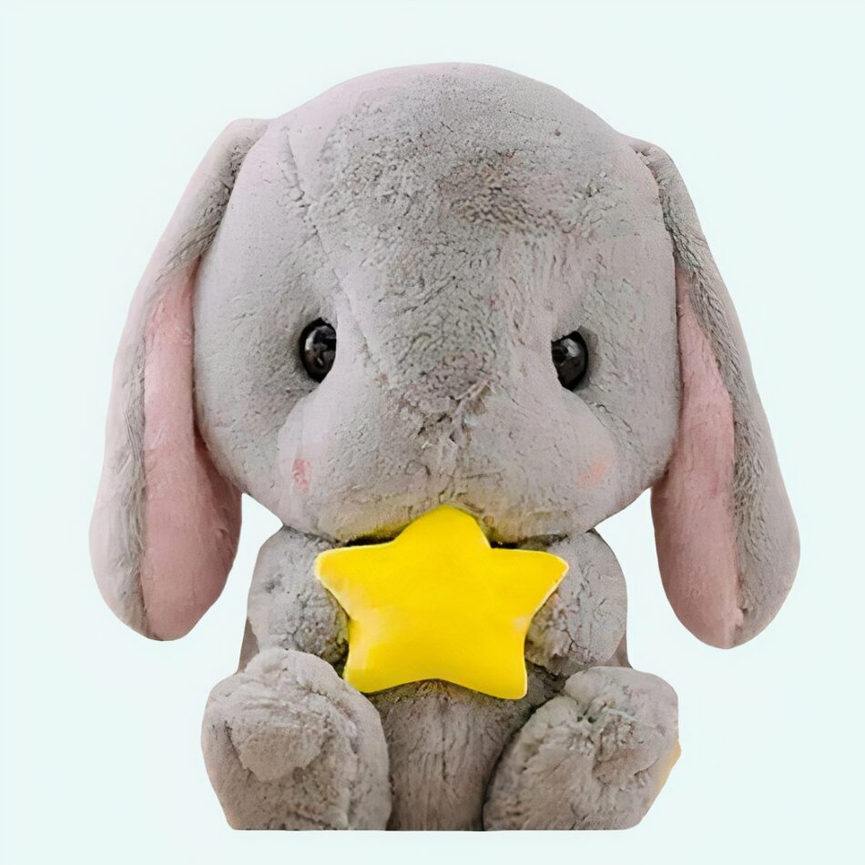 Peluche lapin étoile