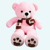 Peluche ours rose pleine d'amour