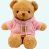 Peluche ourson pull rose
