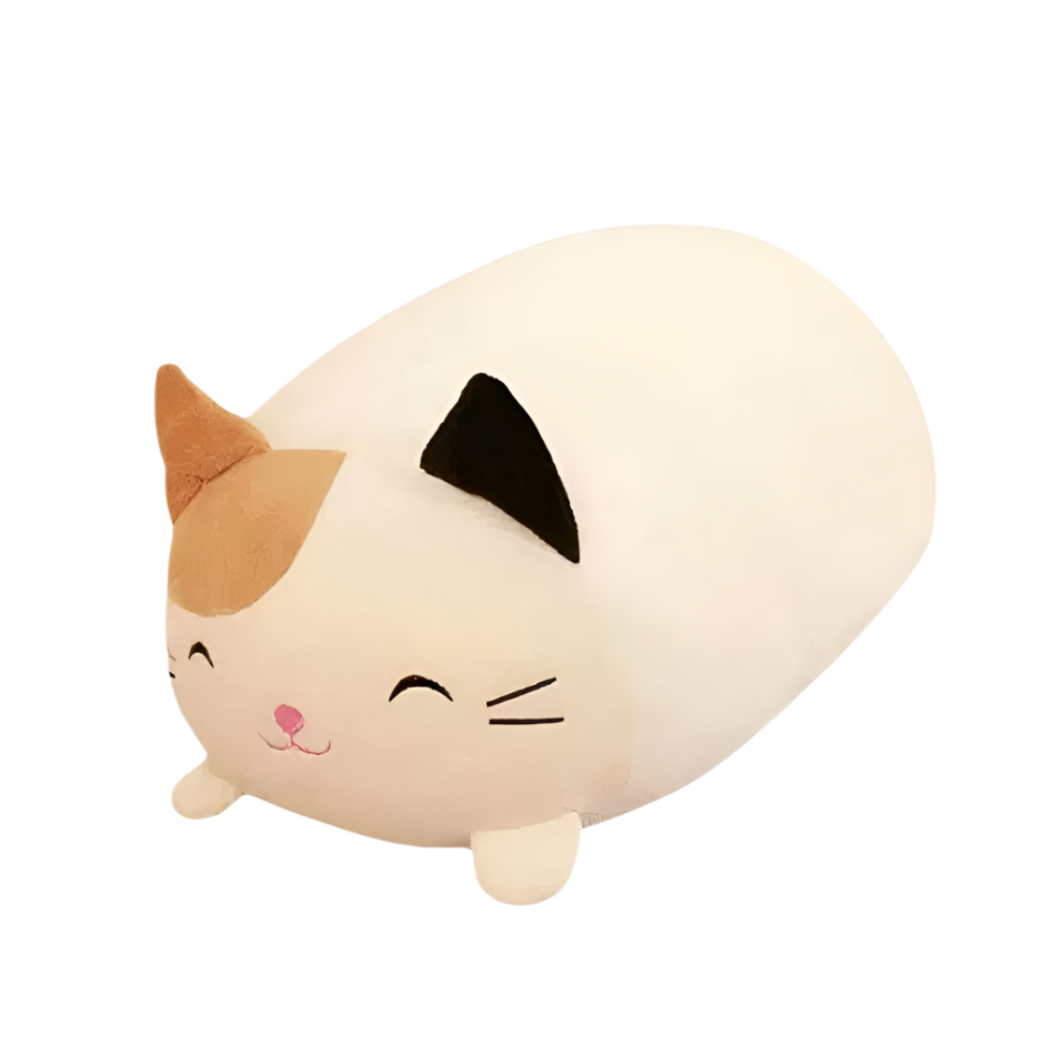 Peluche chat oreiller