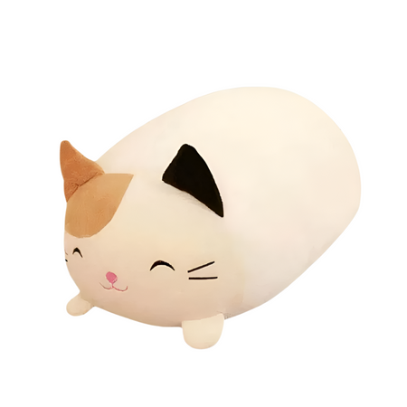 Peluche chat oreiller