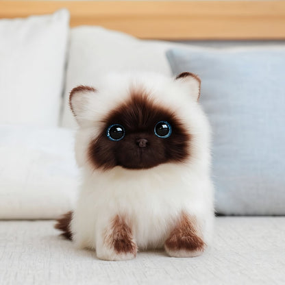 Peluche chaton siamois