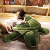 Peluche géante de tortue verte