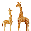 Peluche géante girafe