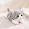 Peluche lestée chat