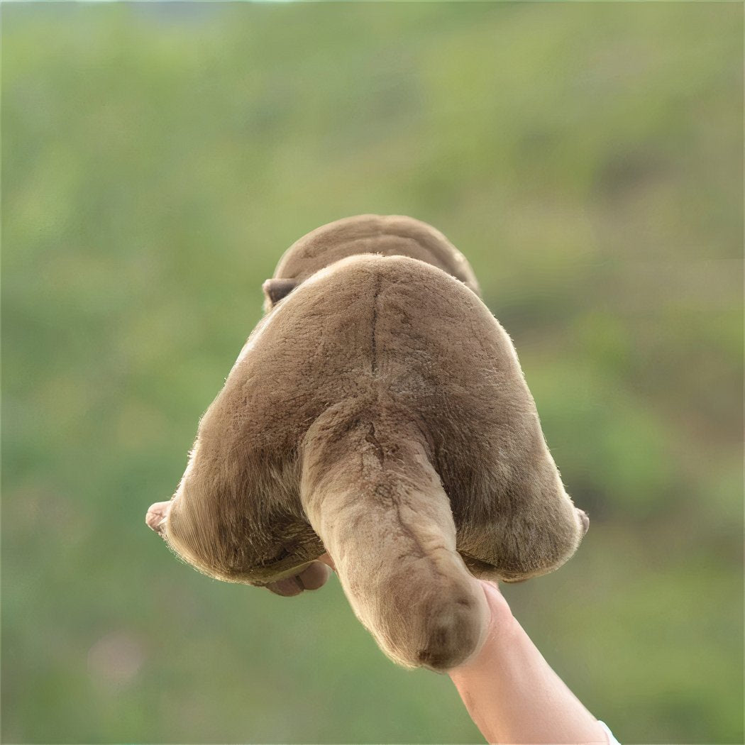 Peluche réaliste loutre toute douce
