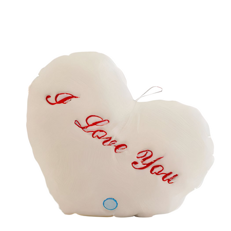 Oreiller lumineux en peluche