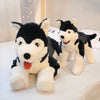 Peluche chien Husky mignon