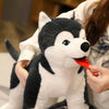 Peluche chien Husky mignon