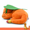 Peluche Kawaii Salamèche qui dort