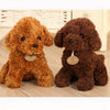 Peluche caniche marron