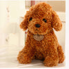 Peluche caniche camel
