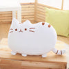 Peluche chat toute mignonne blanche