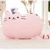 Peluche chat toute mignonne rose