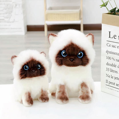 Peluche chaton siamois