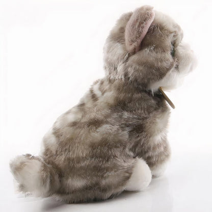 Peluche chaton tout doux