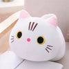 Peluche oreiller chat grands yeux