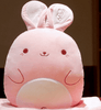 Peluche oreiller lapin