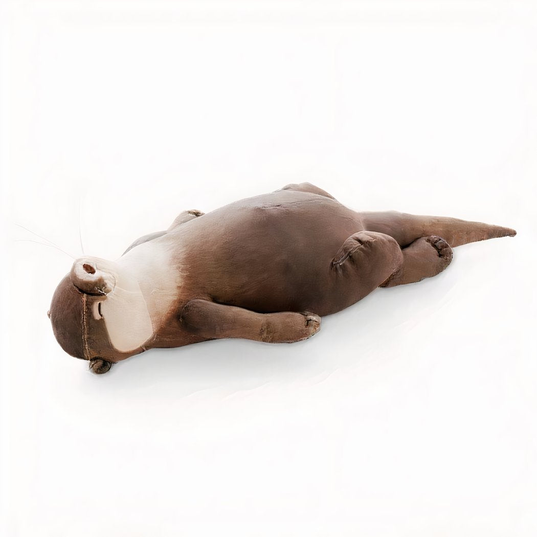 Peluche trousse loutre