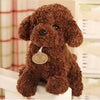 Peluche caniche marron